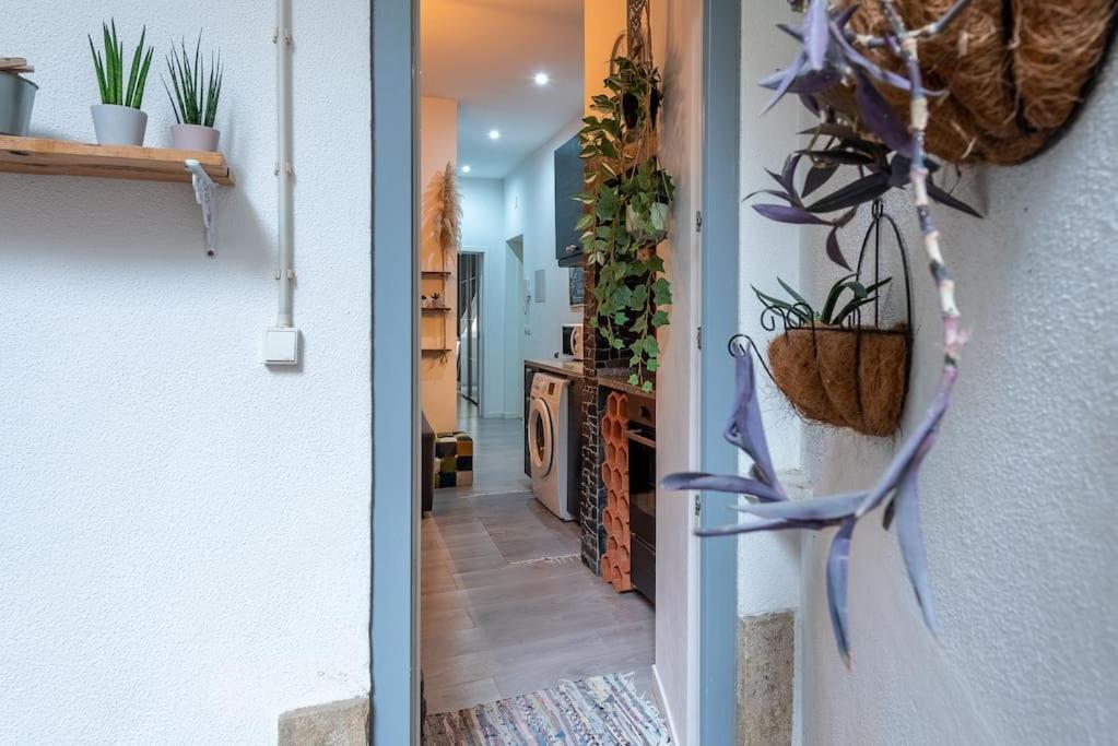 Modern Rustic In Graca Apartment *
